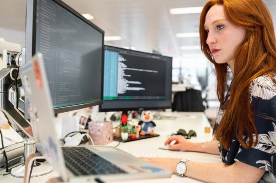 4 Reasons to Become an IT Software Developer